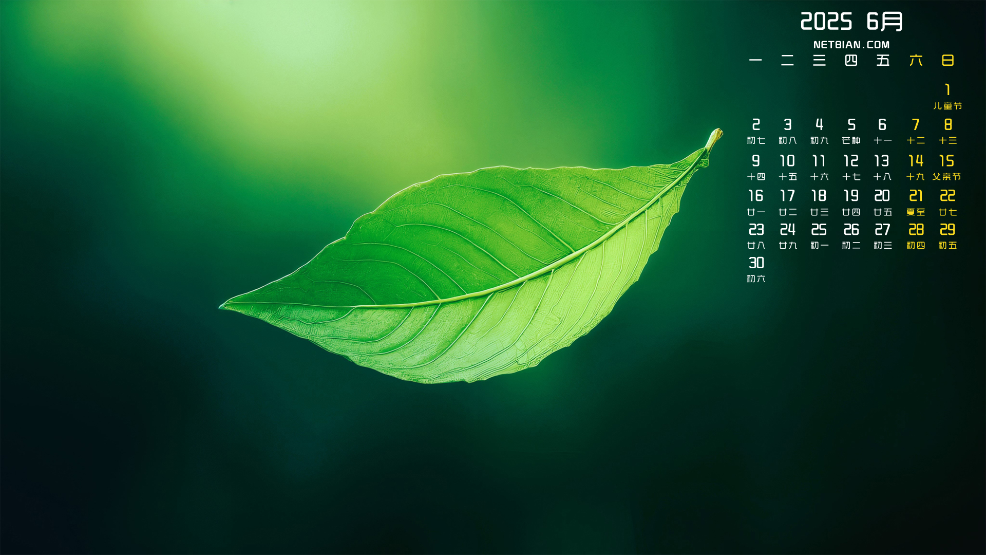 创造一个分子