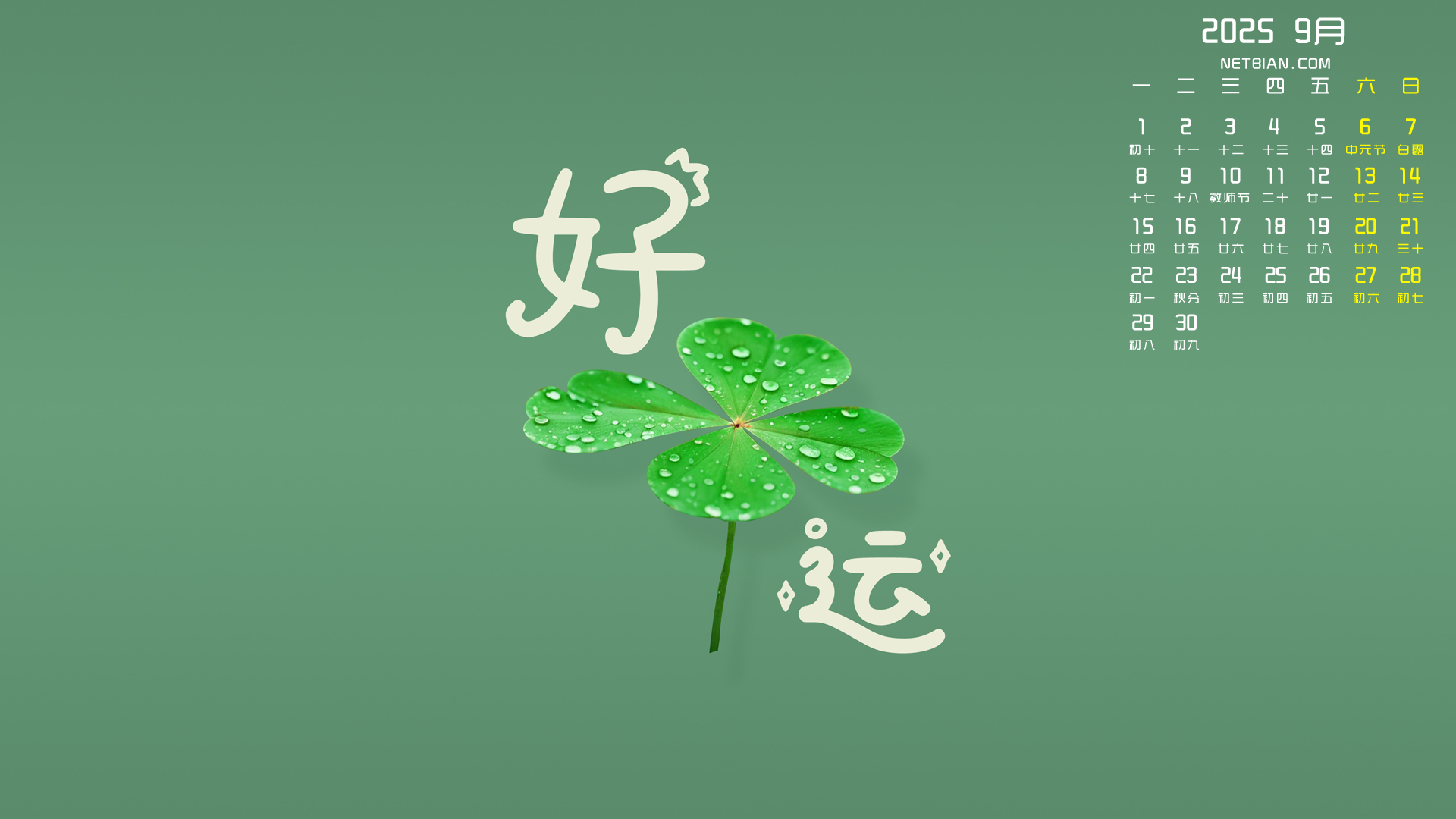 分数：带分数