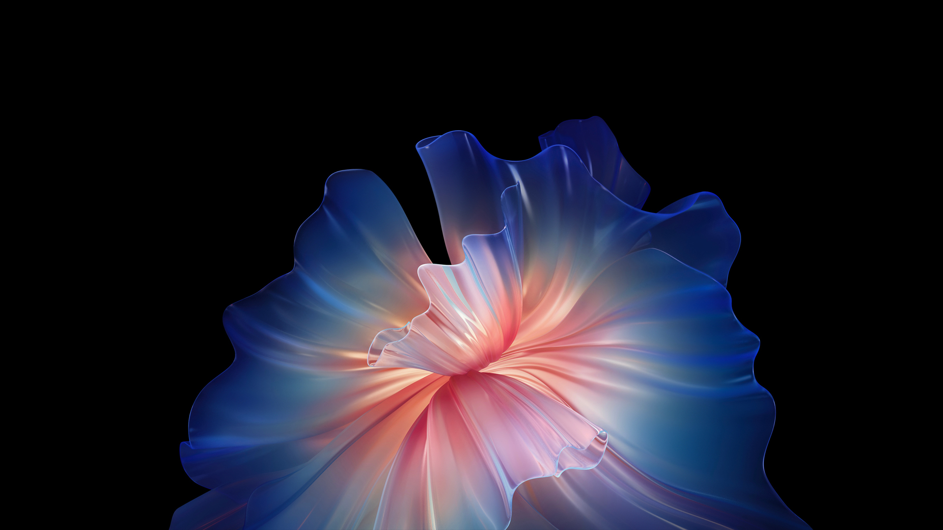 random_pic_url1