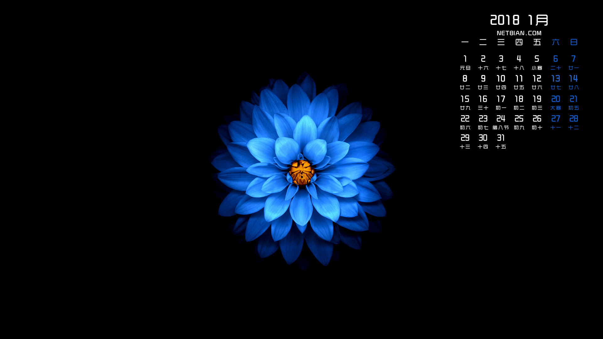 随机实验图片