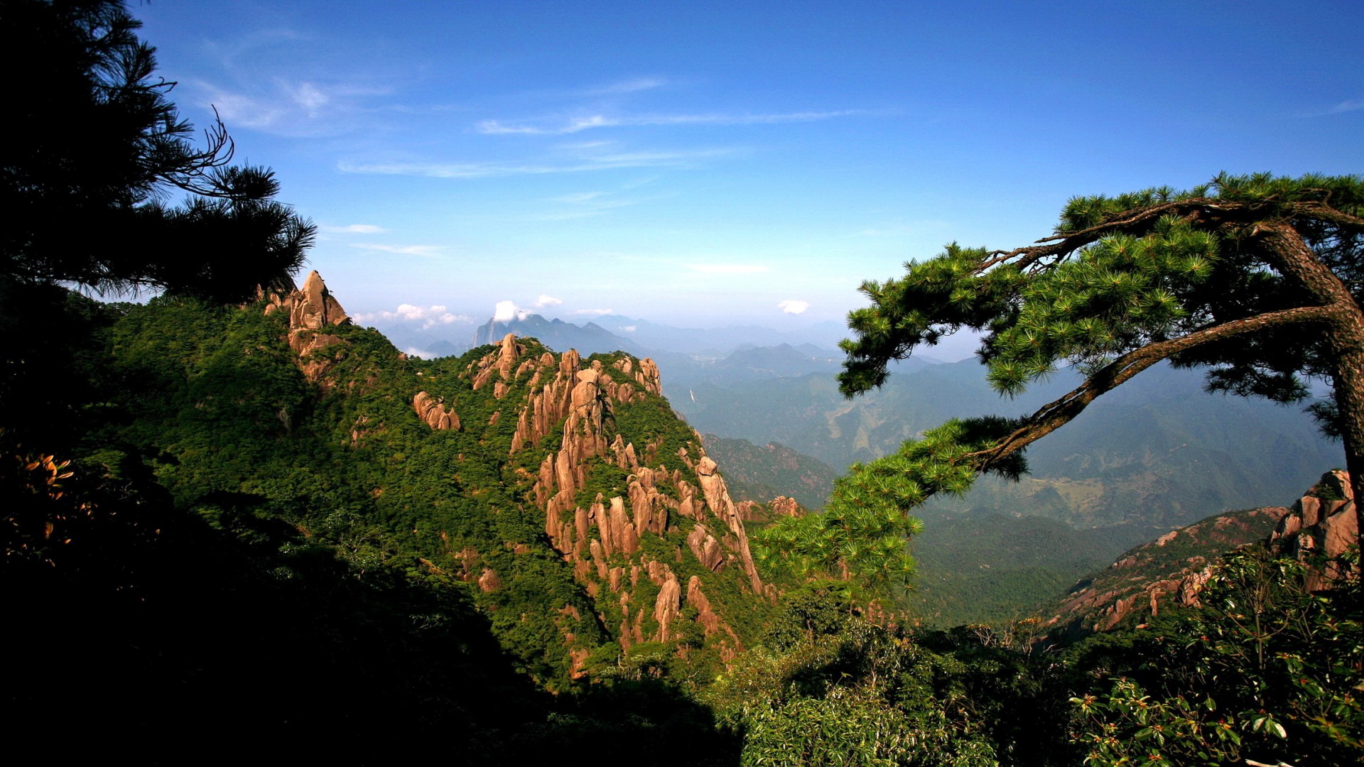 基因表达基础
