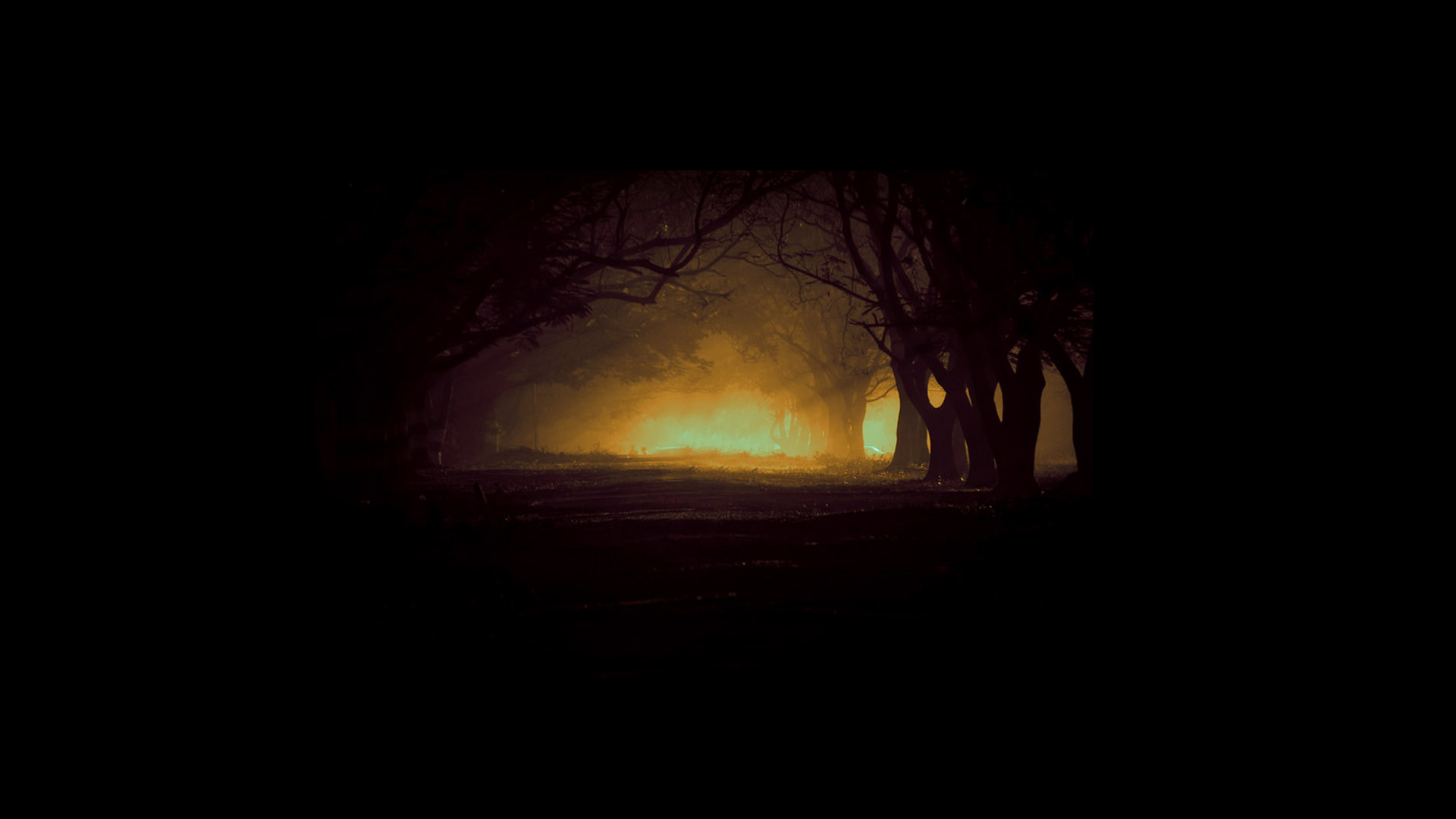 random_pic_url5